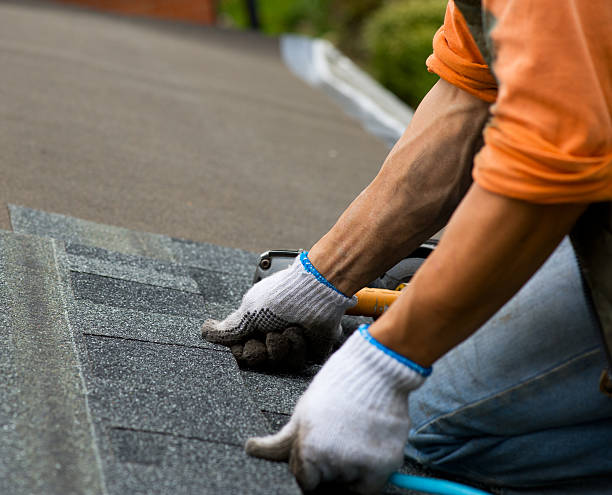 Best Storm Damage Roof Repair  in Prichard, AL