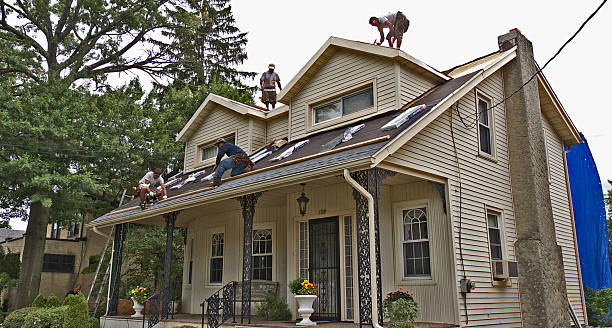 Best Roof Gutter Cleaning  in Prichard, AL